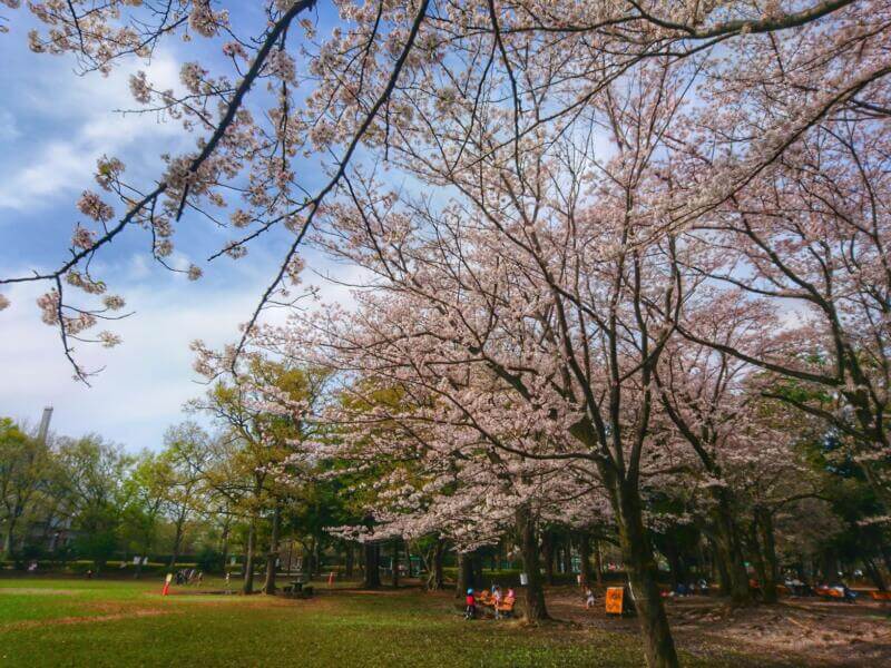 淵野辺公園広場